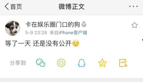 最新吃瓜爆料免费观看往期回顾,免费回顾往期精彩瞬间